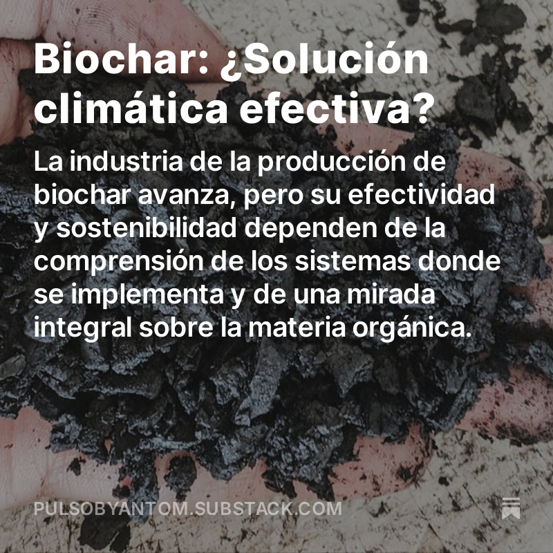 Biochar: ¿Solución climática efectiva?